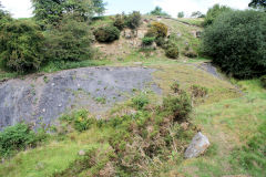 
Cwm Nant Melyn tips, Brynmawr, August 2010